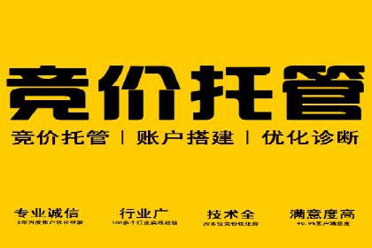 竞价代运营助力品牌崛起案例